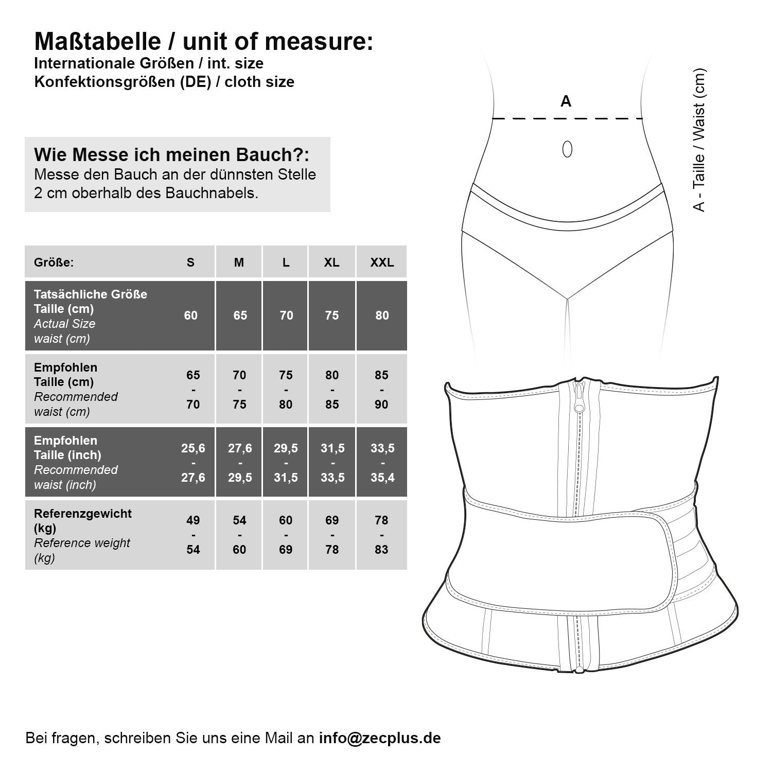 Zecplus Ladies Taillengurt Maßtabelle mit Konfektionsgrößen, cm, inch und Referenzgewicht, Grafik mit Bauch- und Gurtansicht