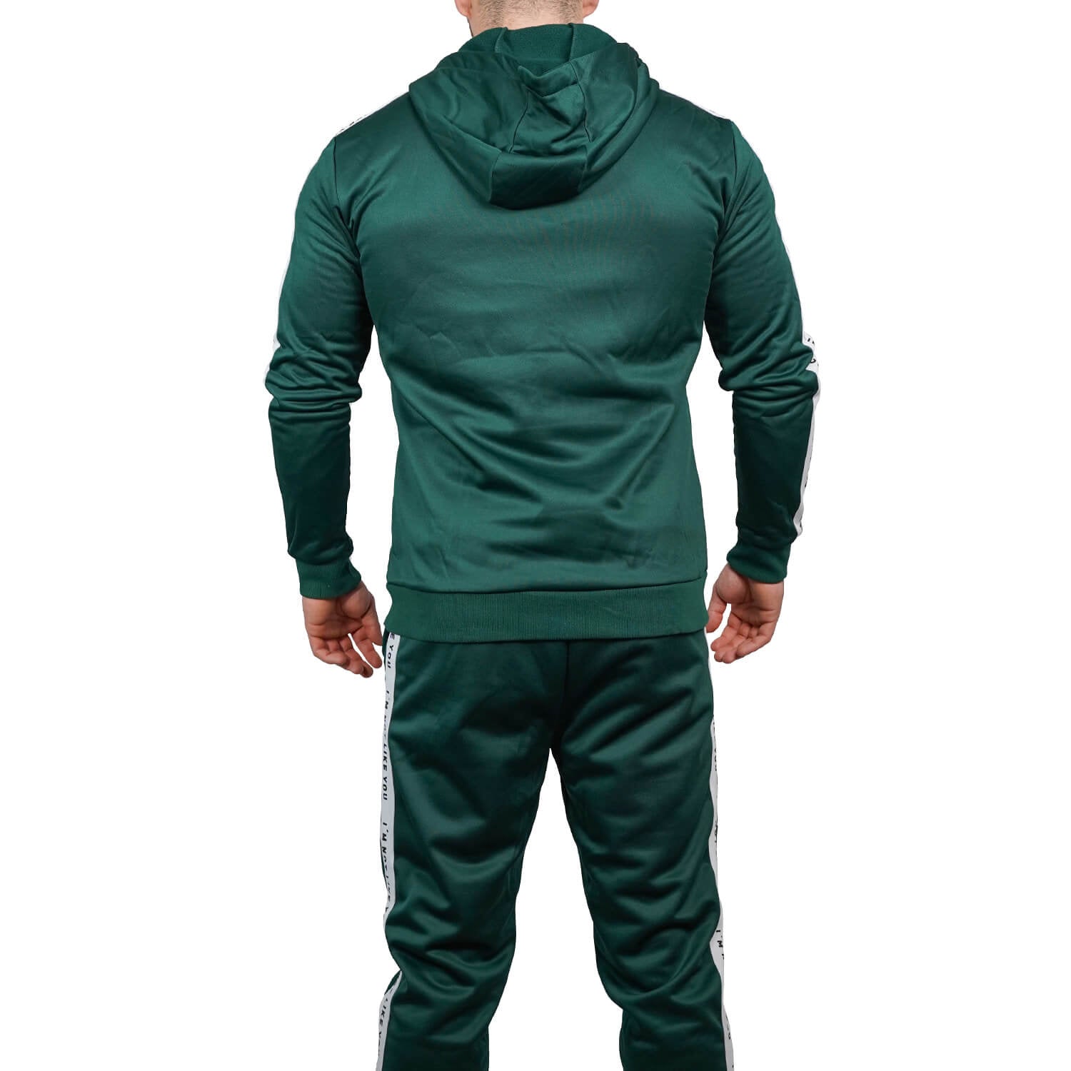 Herren Trainingshose Zec+ Vibes in Grün, Rückansicht, Modell trägt Hoodie